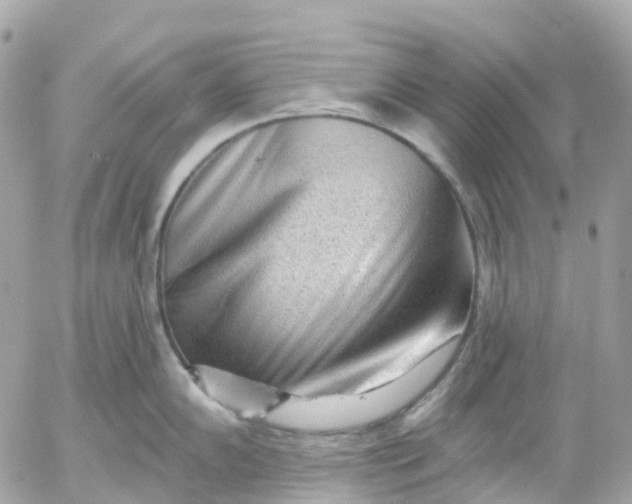 X0000052931102200507221115