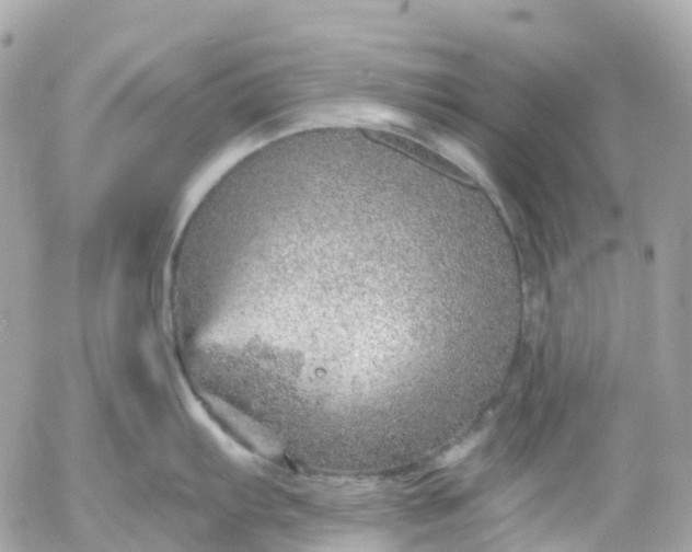 X0000052931103200507221115