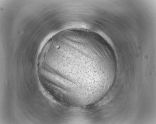 X0000052931104200507221115