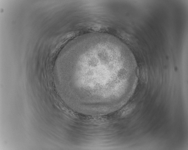 X0000052931105200507221114