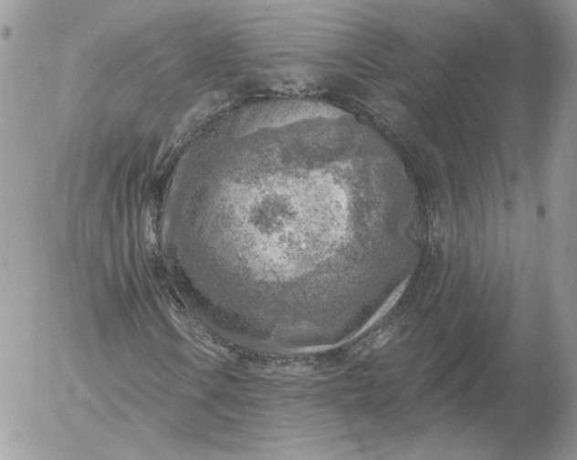 X0000052931106200507221114