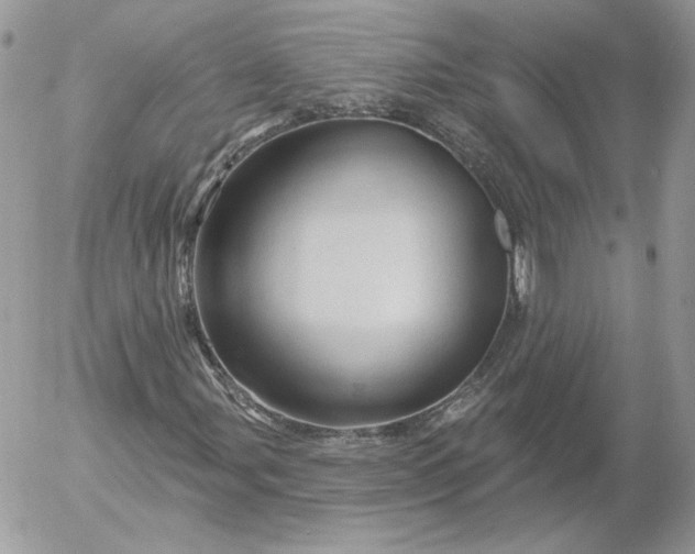 X0000052931107200507221114