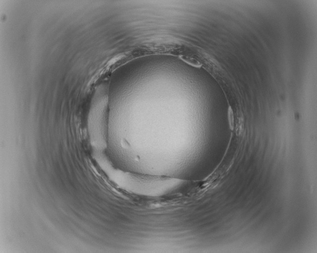 X0000052931108200507221114