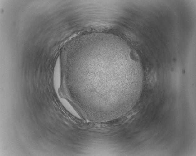 X0000052931109200507221114