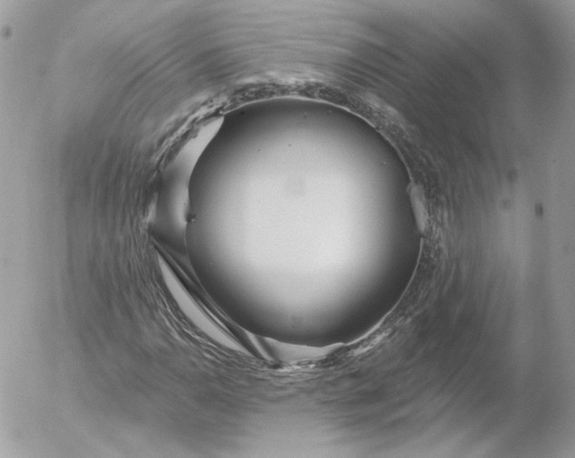 X0000052931110200507221114