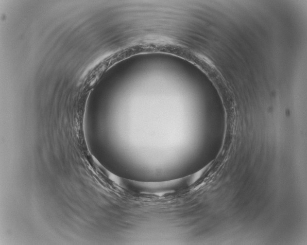 X0000052931112200507221114