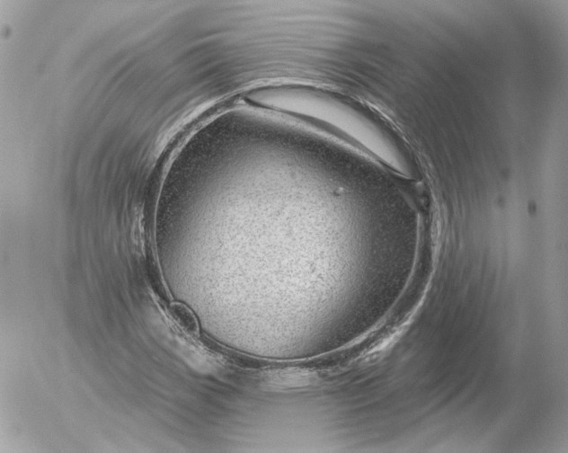 X0000052931113200507221114