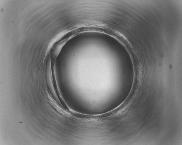 X0000052931114200507221114