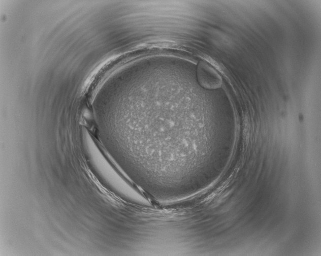 X0000052931115200507221114