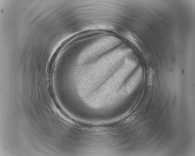 X0000052931116200507221114