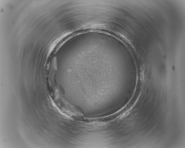 X0000052931117200507221114