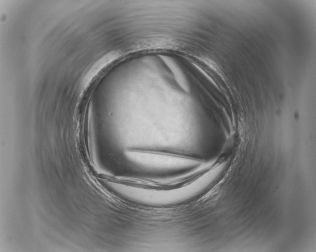 X0000052931119200507221114