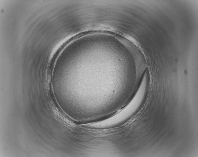 X0000052931120200507221114