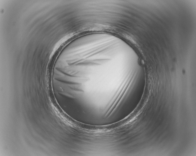 X0000052931122200507221114