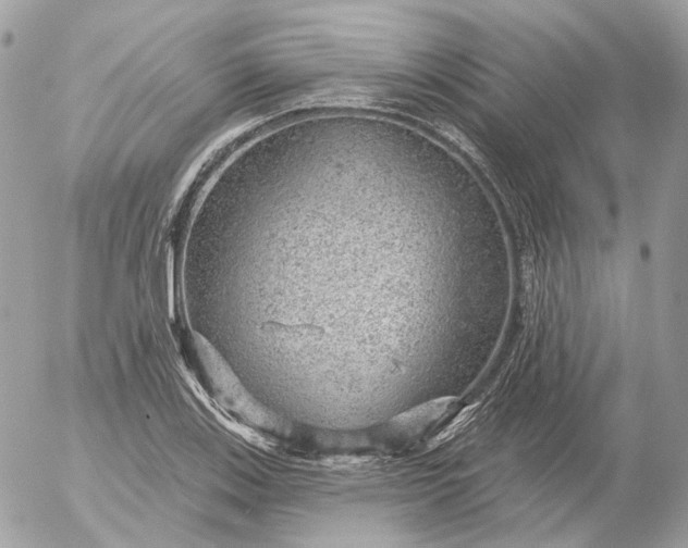 X0000052931123200507221114