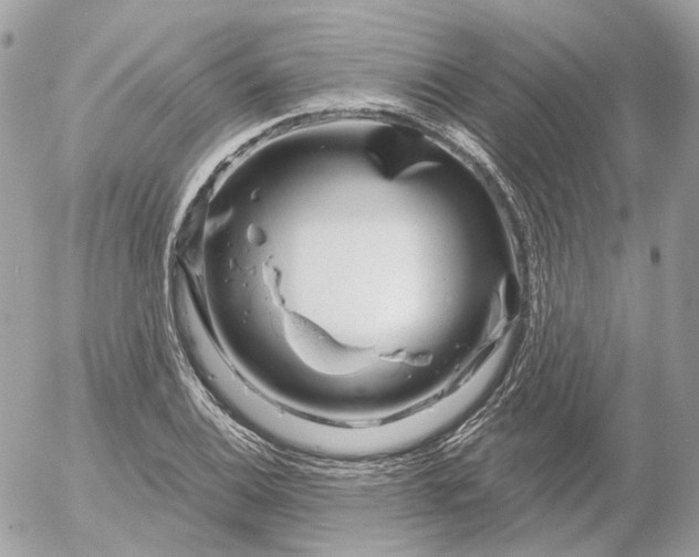 X0000052931124200507221114