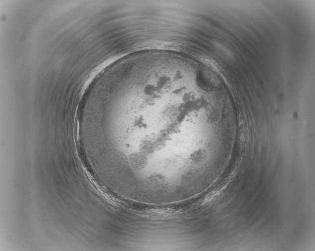 X0000052931125200507221114