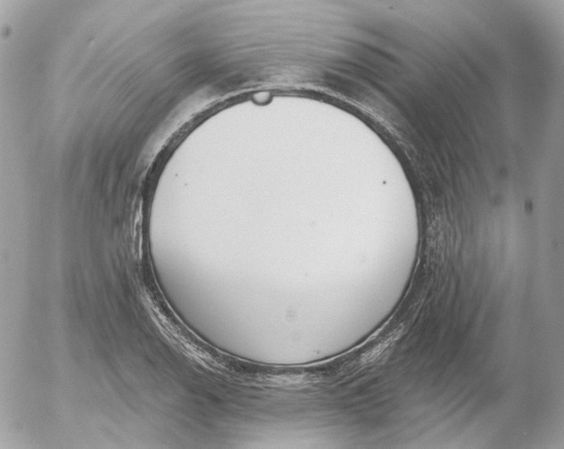 X0000052931126200507221115