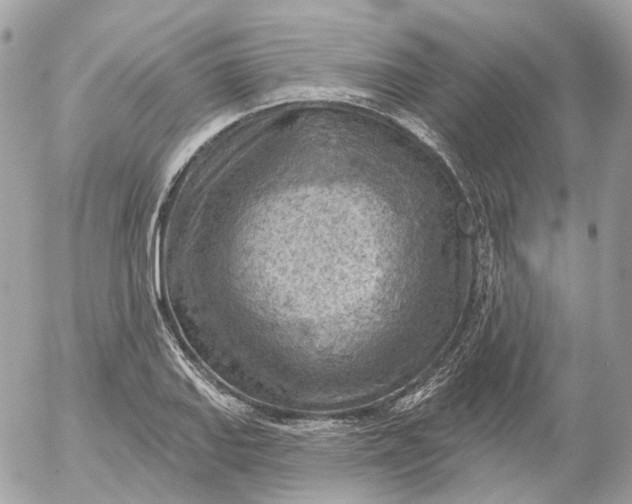 X0000052931127200507221115