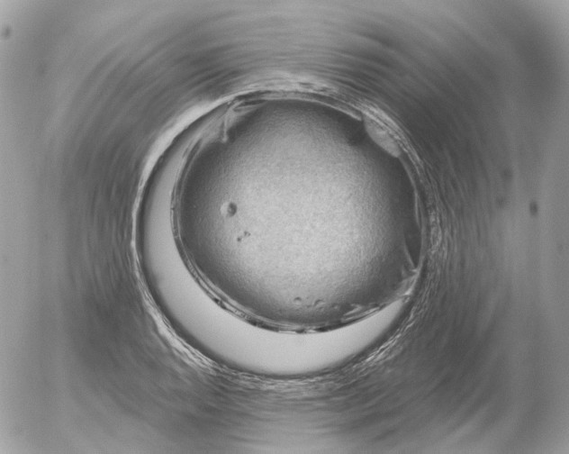 X0000052931128200507221115