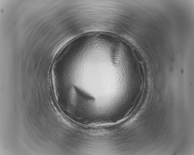 X0000052931129200507221115