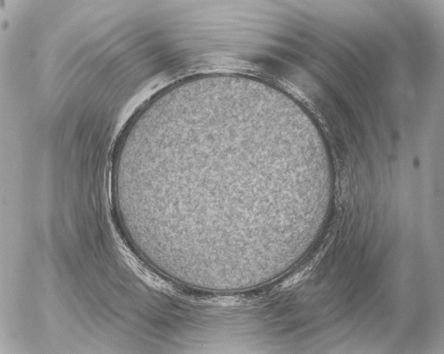 X0000052931130200507221115