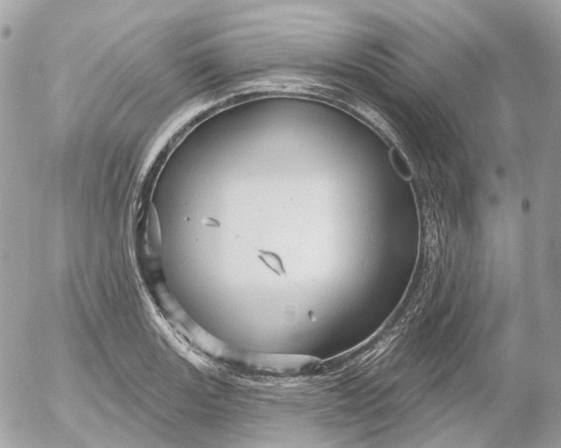 X0000052931131200507221115