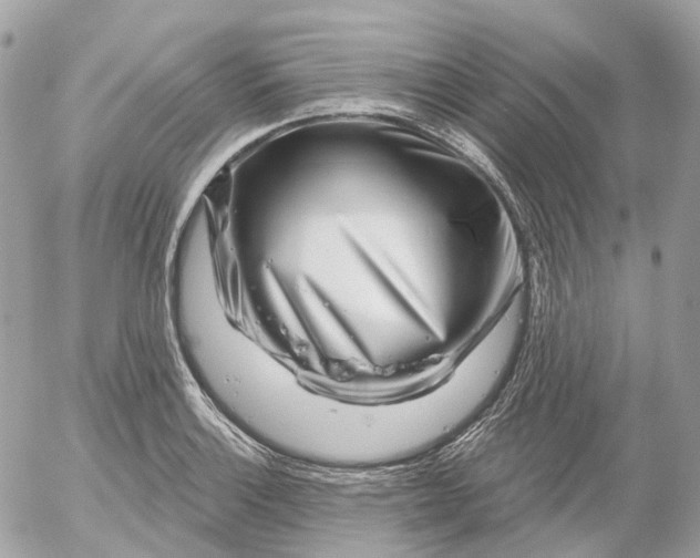 X0000052931132200507221115