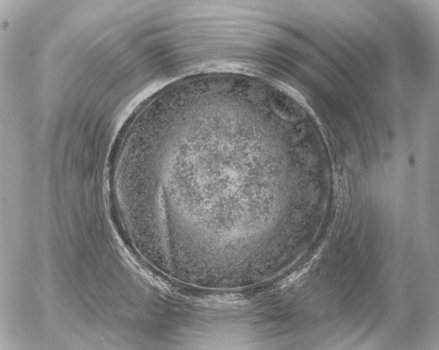 X0000052931133200507221115