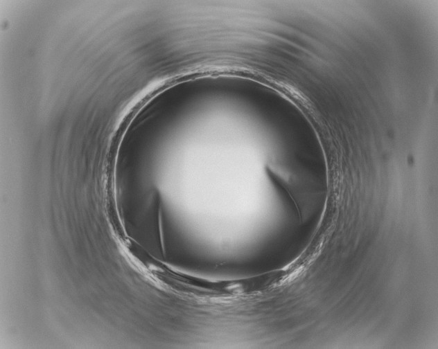 X0000052931134200507221115