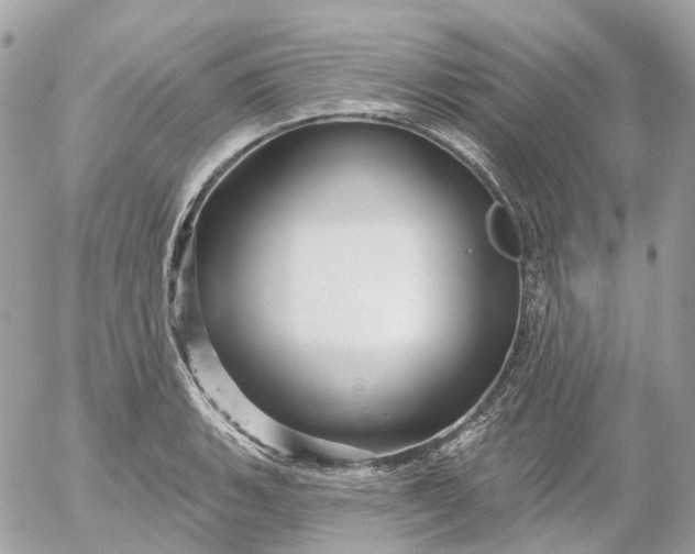 X0000052931135200507221115