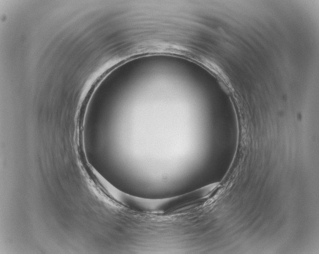 X0000052931136200507221115