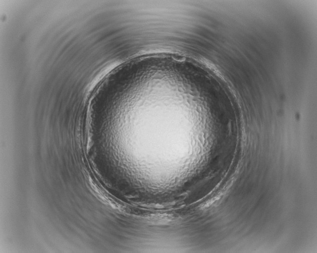 X0000052931137200507221115