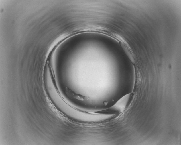 X0000052931138200507221115