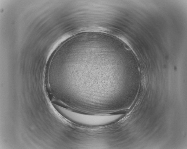 X0000052931139200507221115