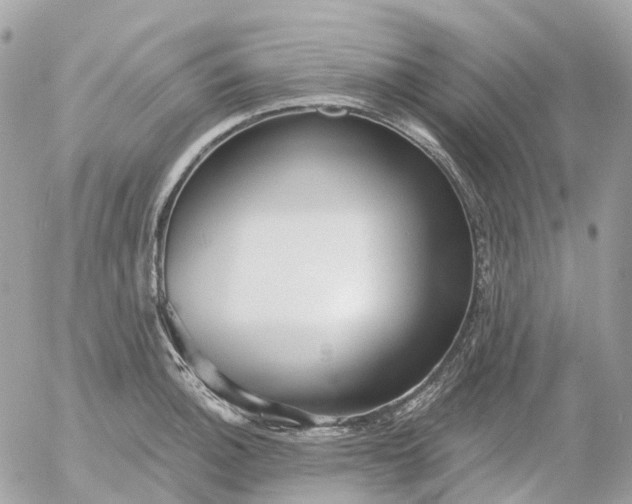 X0000052931140200507221115