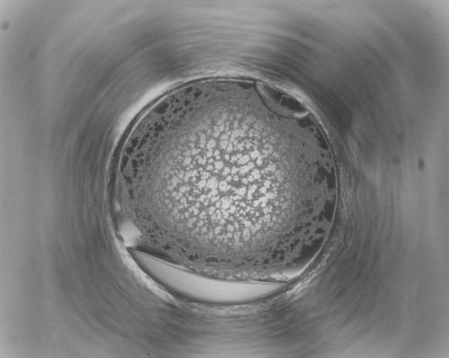 X0000052931142200507221115