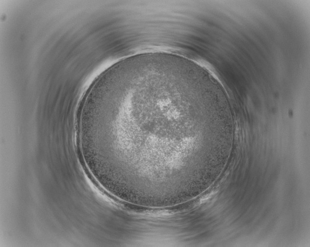 X0000052931143200507221115