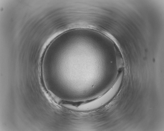 X0000052931144200507221115