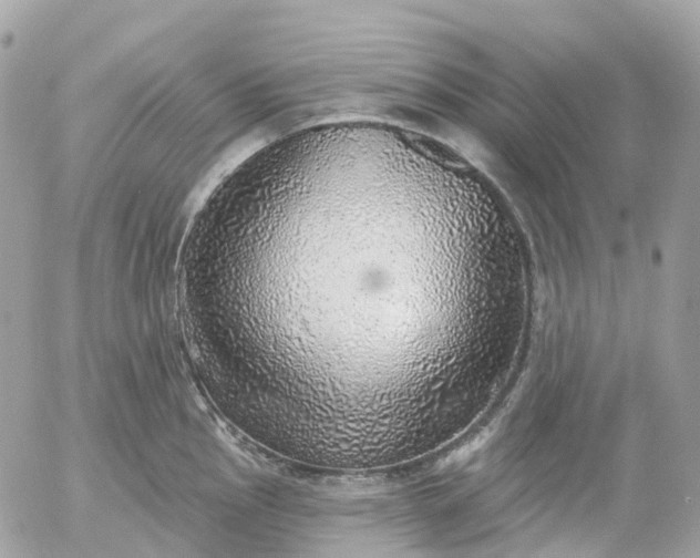 X0000052931145200507221115