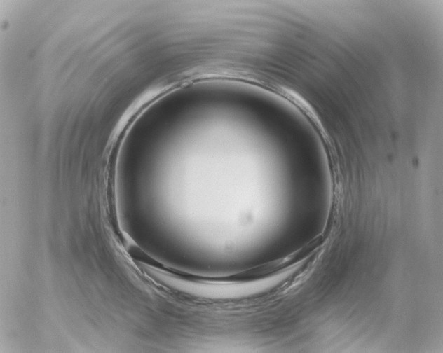 X0000052931146200507221115