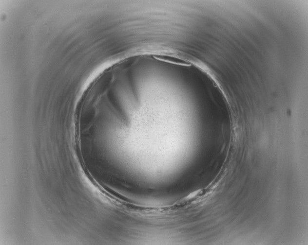 X0000052931147200507221115