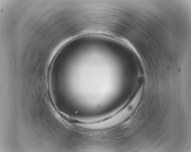 X0000052931148200507221115