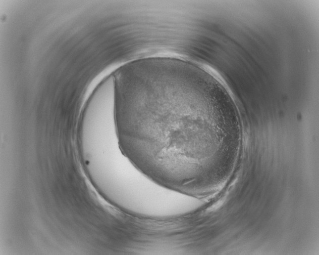 X0000052931149200507221115