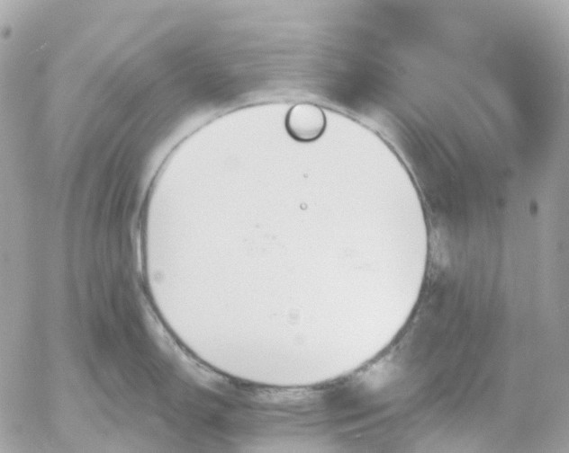 X0000052931150200507221115