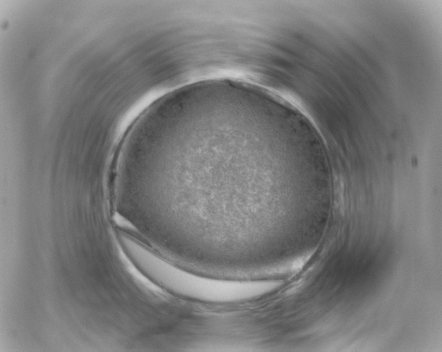 X0000052931151200507221115