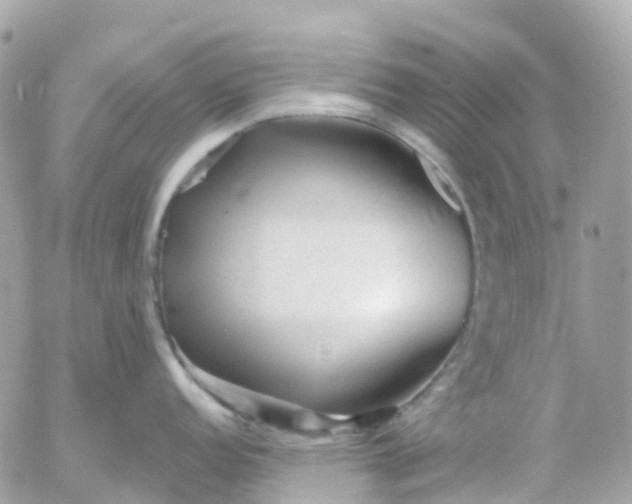 X0000052931152200507221115