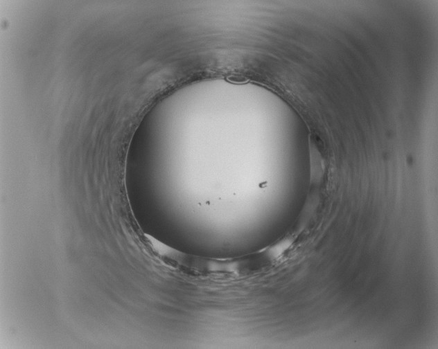 X0000052931153200507221114