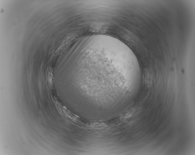 X0000052931154200507221114