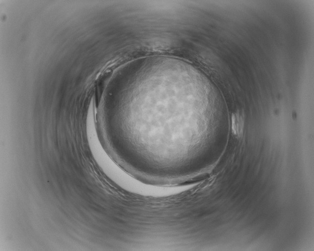 X0000052931155200507221114